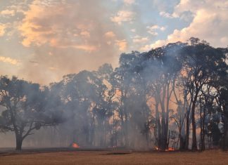 Permit relief for bushfire affected as recovery fund tops $1M