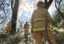 When should you leave during a bushfire?