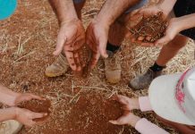 Dookie wins fight against renewable projects