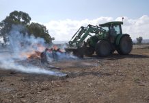Prepare early this spring and register burn-offs online