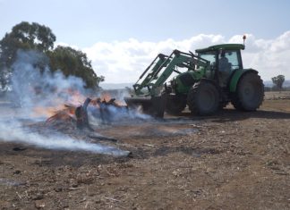Prepare early this spring and register burn-offs online