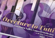 Local Orchestra marks 30 years