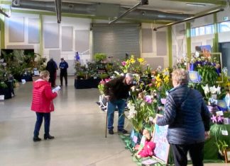 Spectacular orchid event in Mooroopna