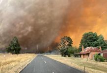 IF You Wait Too Long in a Bushfire, It May Already Be Too Late