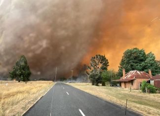 IF You Wait Too Long in a Bushfire, It May Already Be Too Late