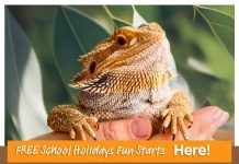 A marketplace of school holiday fun