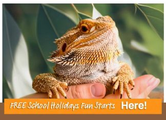 A marketplace of school holiday fun