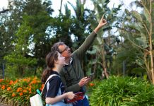 Greater Shepparton’s bird tally puts native habitats in focus