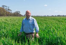 Farmers face visa uncertainty amid Labor’s backpacker changes