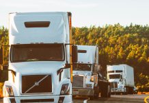 Behind the Wheel in the Goulburn Valley: Why A Truck Driving Career In The Shepparton Area Is A Smart Move